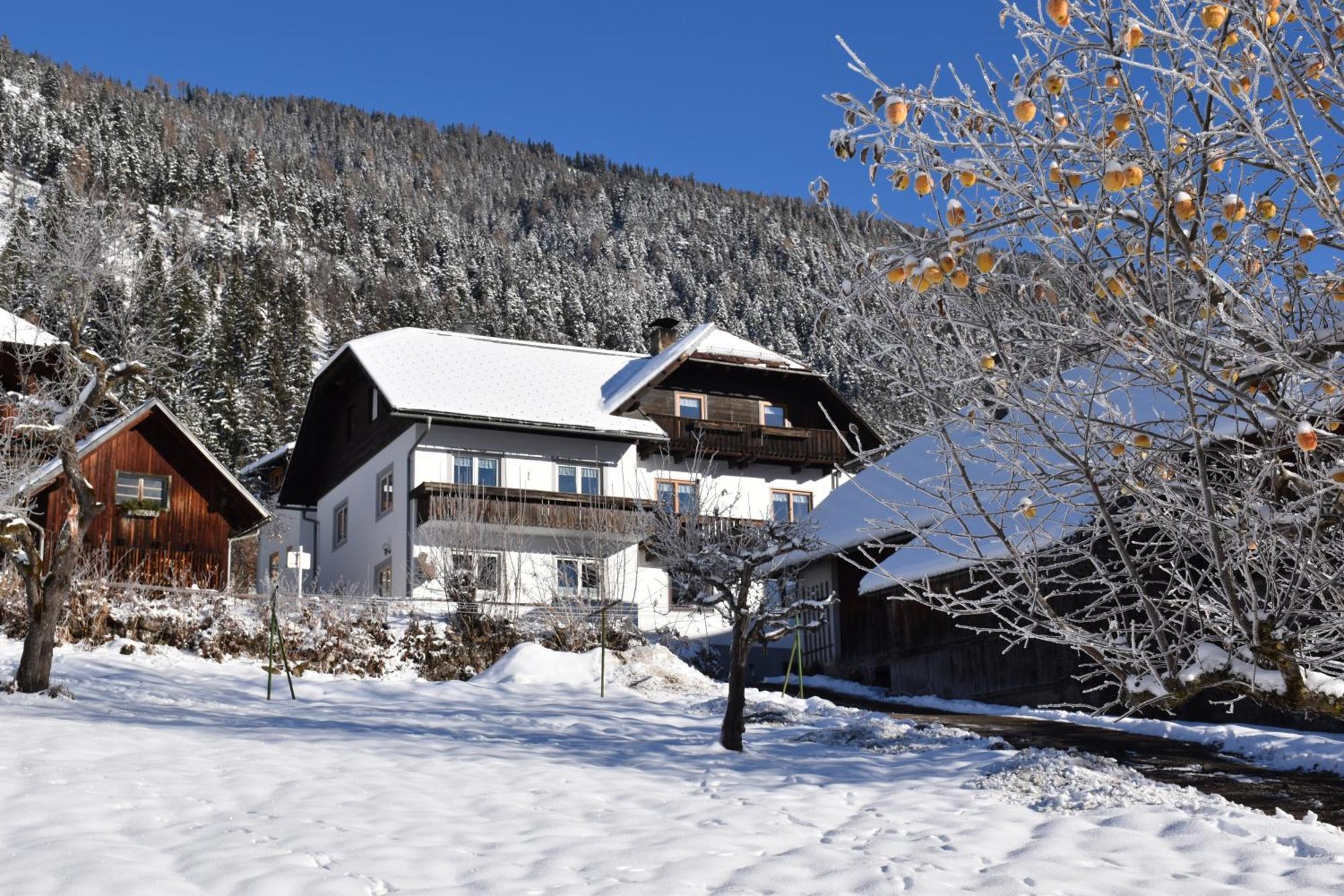 魏森湖Haus Binder公寓 外观 照片